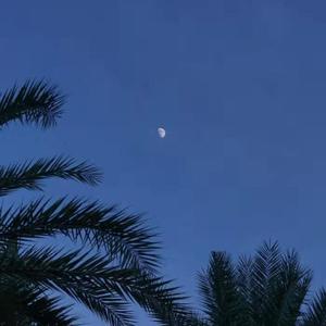 女人和非洲黑人操逼舒服視頻
